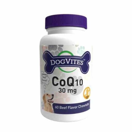 Health Thru Nutrition - CoQ10 für Hunde, 30 mg, Rindfleischgeschmack - 60 Kautabletten