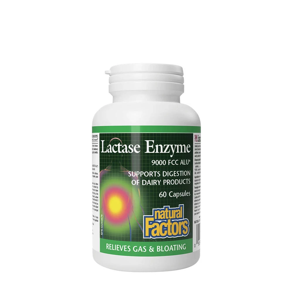 Natural Factors Lactase Enzyme (60 Capsules)