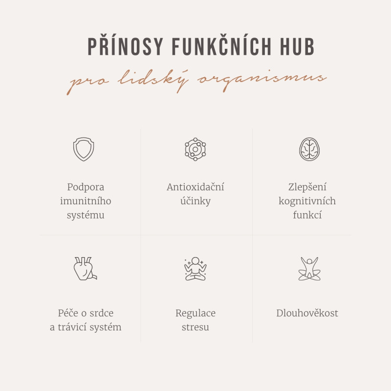 Four Sigmatic - Bio Adaptogen Kaffeemischung mit Ashwagandha & Chaga, Pulver, 1 Sack – Bild 3