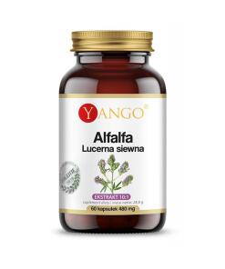 YANGO Alfalfa (60 caps)