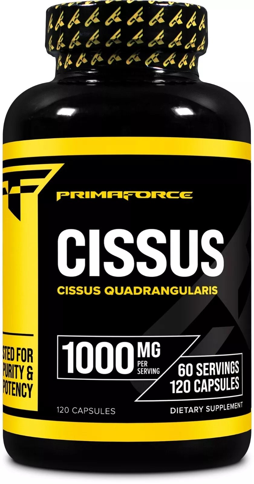 Cissus