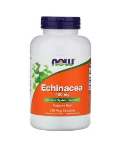 Echinacea