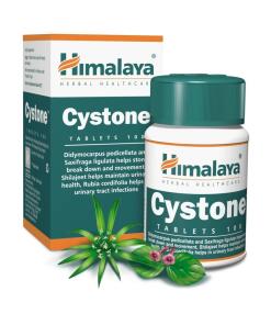Himalaya Cystone  (100 Tablets)