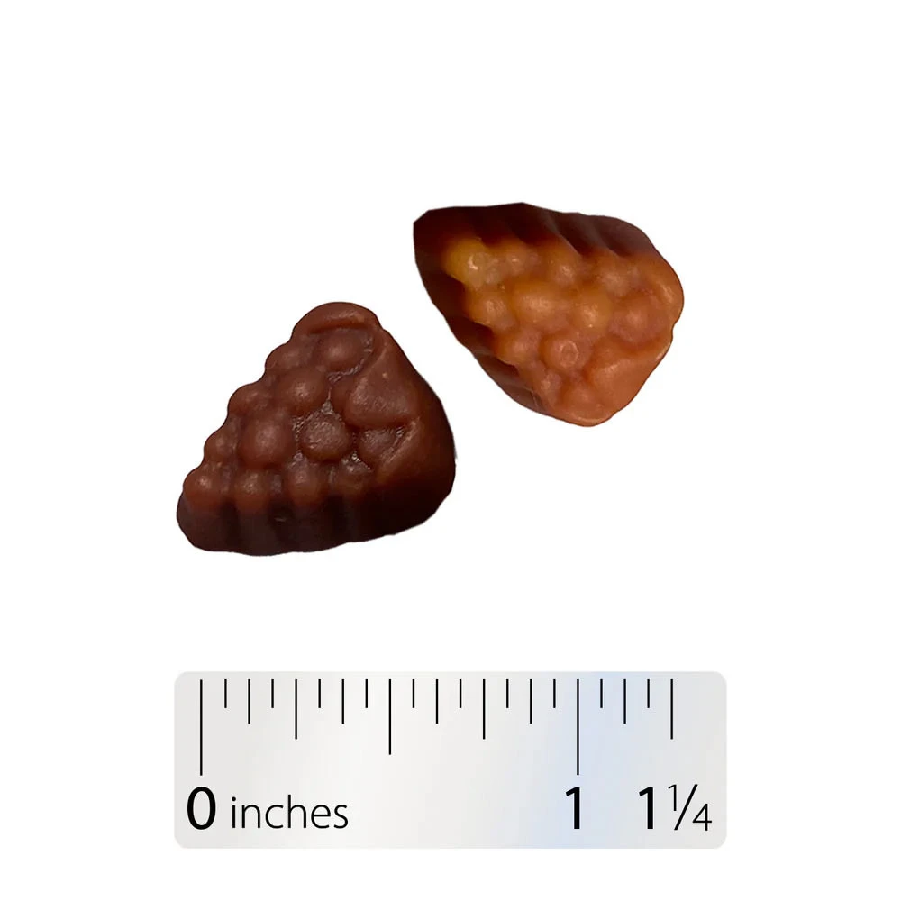 Nature's Way - Alive!® Frauen 50+ Multivitamin-Gummis (60 Gummis, gemischte Beeren) – Bild 6