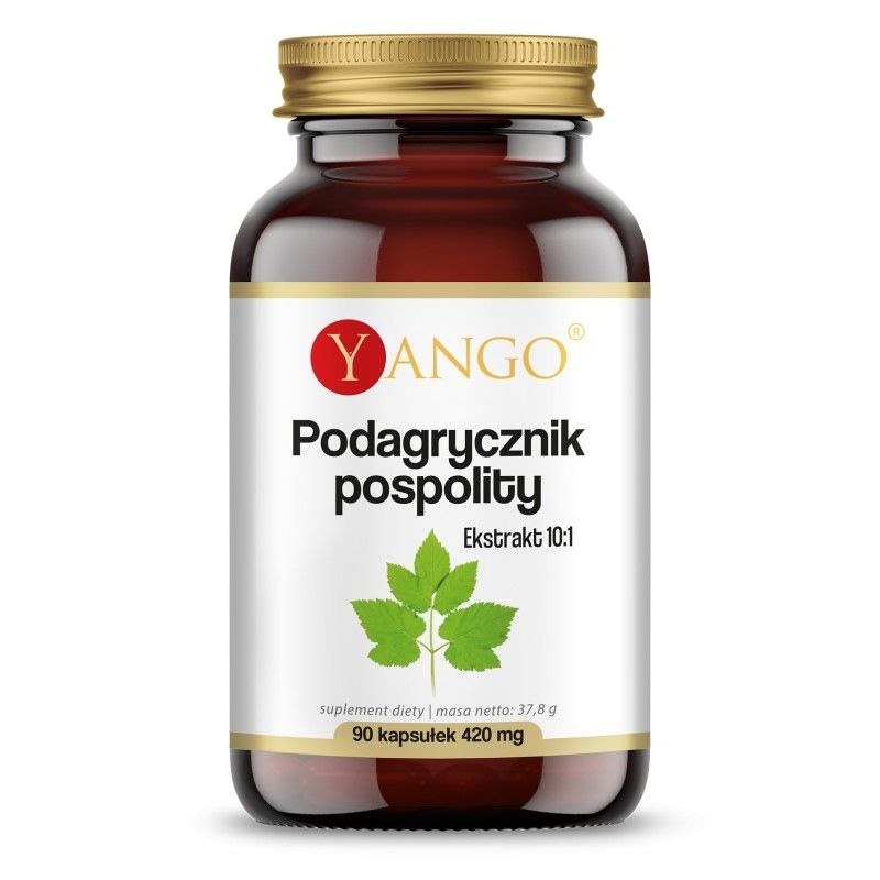 YANGO Aegopodium podagraria (90 caps)