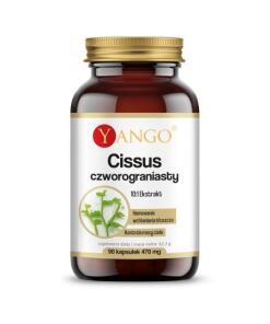 YANGO Cissus quadrangularis (90 caps)